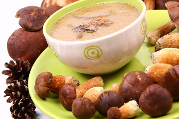 Mushroom soup in a bowl with some mushrooms around it and cones