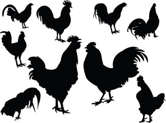 roosters collection silhouette vector