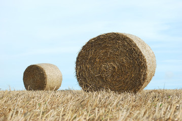 Hay bales