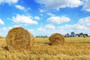 Field and sky.