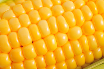 Corn cob