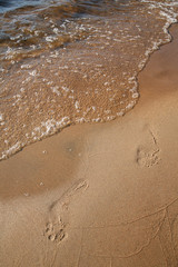 Human Steps on Sandy Beach