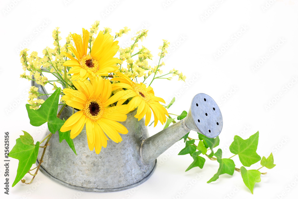 Poster gerbera and sprinkling can