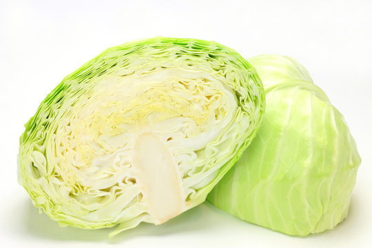 cabbage