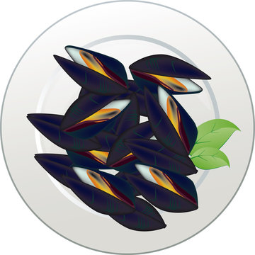 cozze