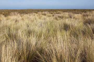 Fototapeta premium Landscape in Patagonia, Argentina