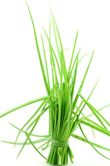 feuilles d'échalote, fond blanc