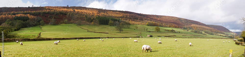 Wall mural english countryside