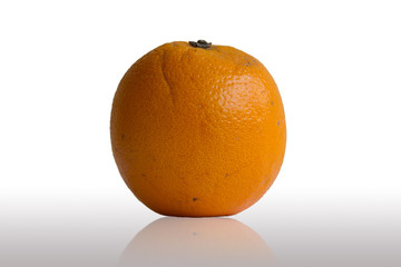Orange on White Background