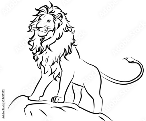 "Löwe" Stockfotos und lizenzfreie Vektoren auf Fotolia.com - Bild 25635382