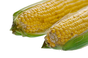 Corn