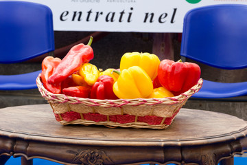 Guinnes World Records - Carmagnola