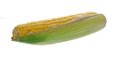 Corn