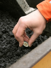 Hand of a road master measuring asphalt temperature