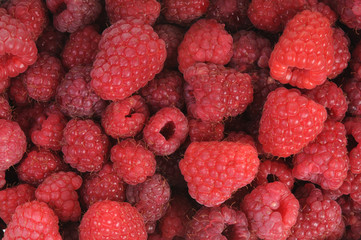 Delicious raspberries in close-up