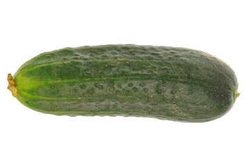 Fresh cucumber isolated on white background