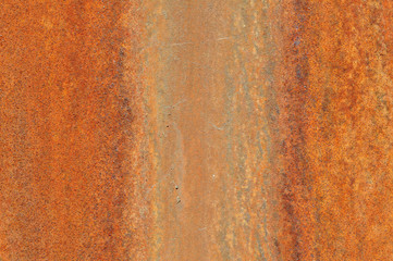 Rost