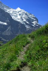 Wanderweg Jungfraujoch