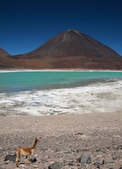 Fototapeta na wymiar zielone jeziora i vulcano Licancabur