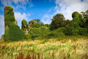 Northburg Castle, Ireland