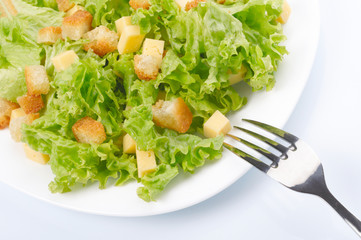Close-up of salad on white plate