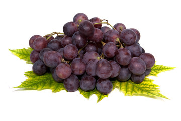 blue grapes