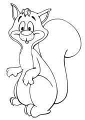 Eichhörchen, Herbst