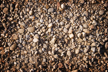 looking down at mud and dirt