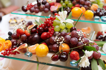 Fruits on banquet table shot during catering event