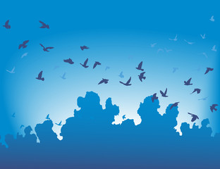 Migration