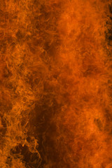 Fire background with orange flames