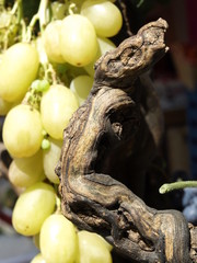 Fruta en un mercado de  Paris