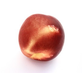 Nectarine
