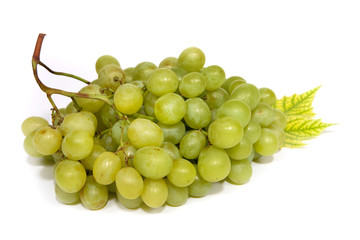 grapes with leaves