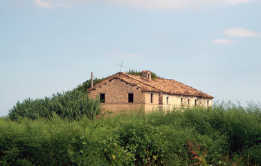 Old deserted house overruned with grass