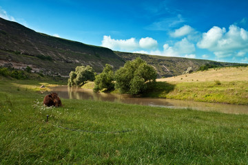 landscape with river