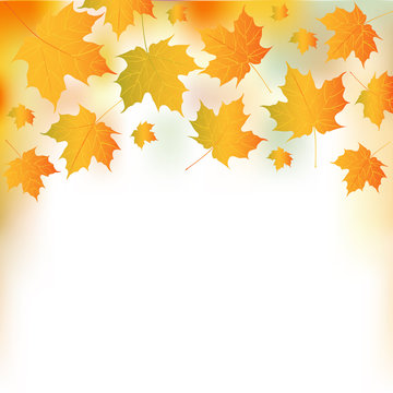 Vector illustration of autumn falling leaves