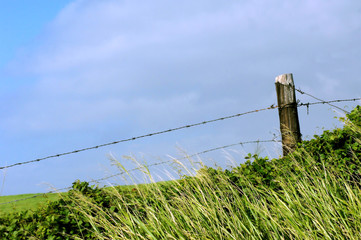 Barbed Wire New and Old