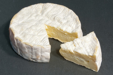 camembert