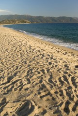 Fototapeta na wymiar Korsyka, Zatoka Sagone, plaża Liamone