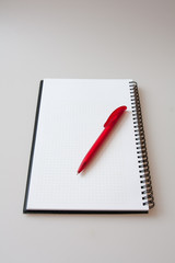 Notepad with pen