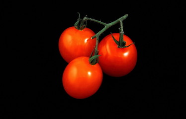 Tomatoes