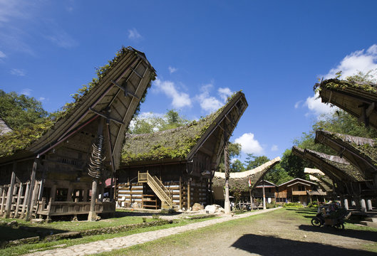 Toraja village
