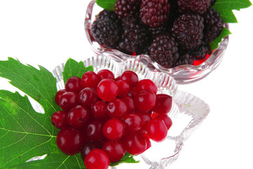 served wild berry