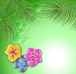 Floral background for an insert of the text or a photo