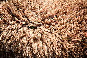 Brown Sheepskin Rug