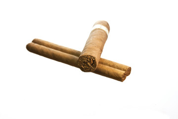 Cigars on white background