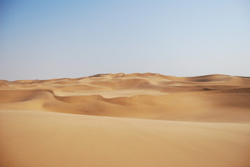 Fototapeta na wymiar Desert sand Dunes