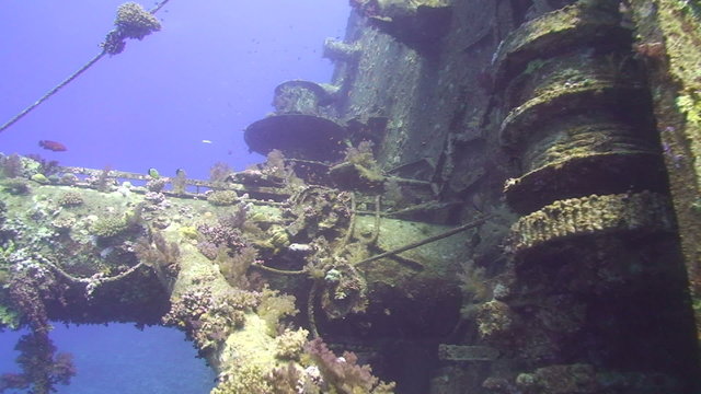 bow section of the Red Sea shipwreck the Giannis D