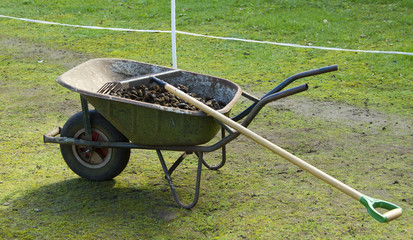 Wheelbarrow with manure